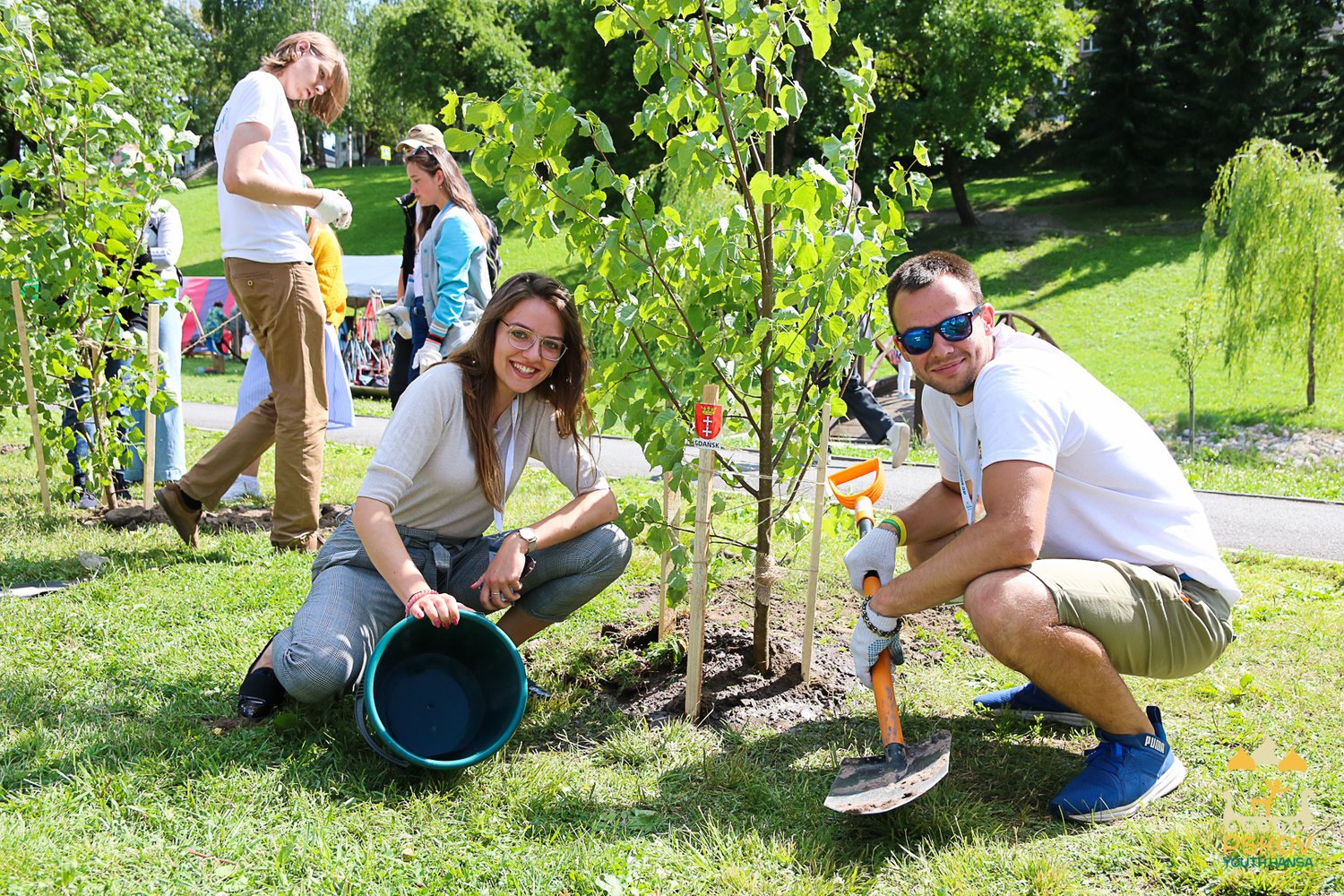 21 мая на поляне у Псковского городского молодёжного центра состоится посадка деревьев для аллеи общественников.