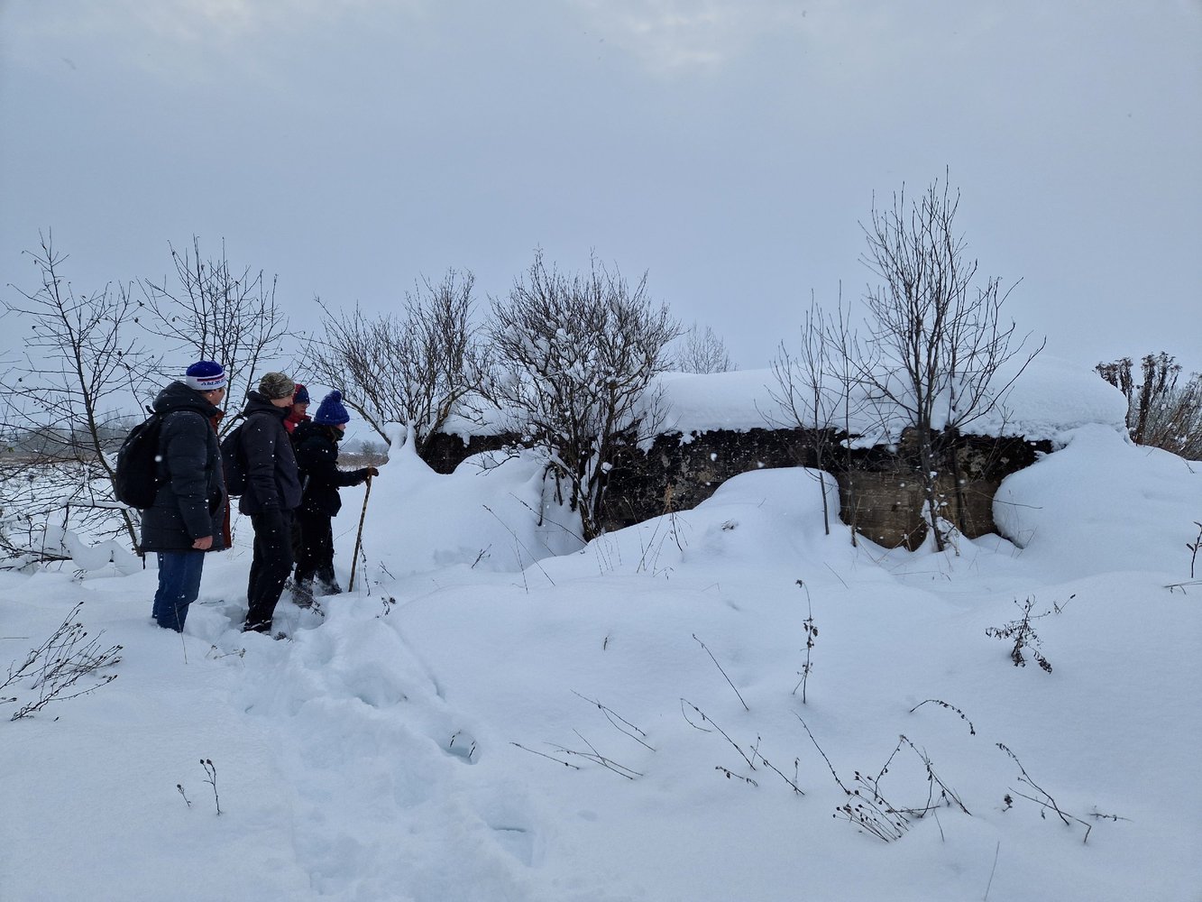 24 февраля Псковский городской молодёжный центр совместно с туристической командой «Турбо» приглашают на краеведческий поход к Ваулиной горе.