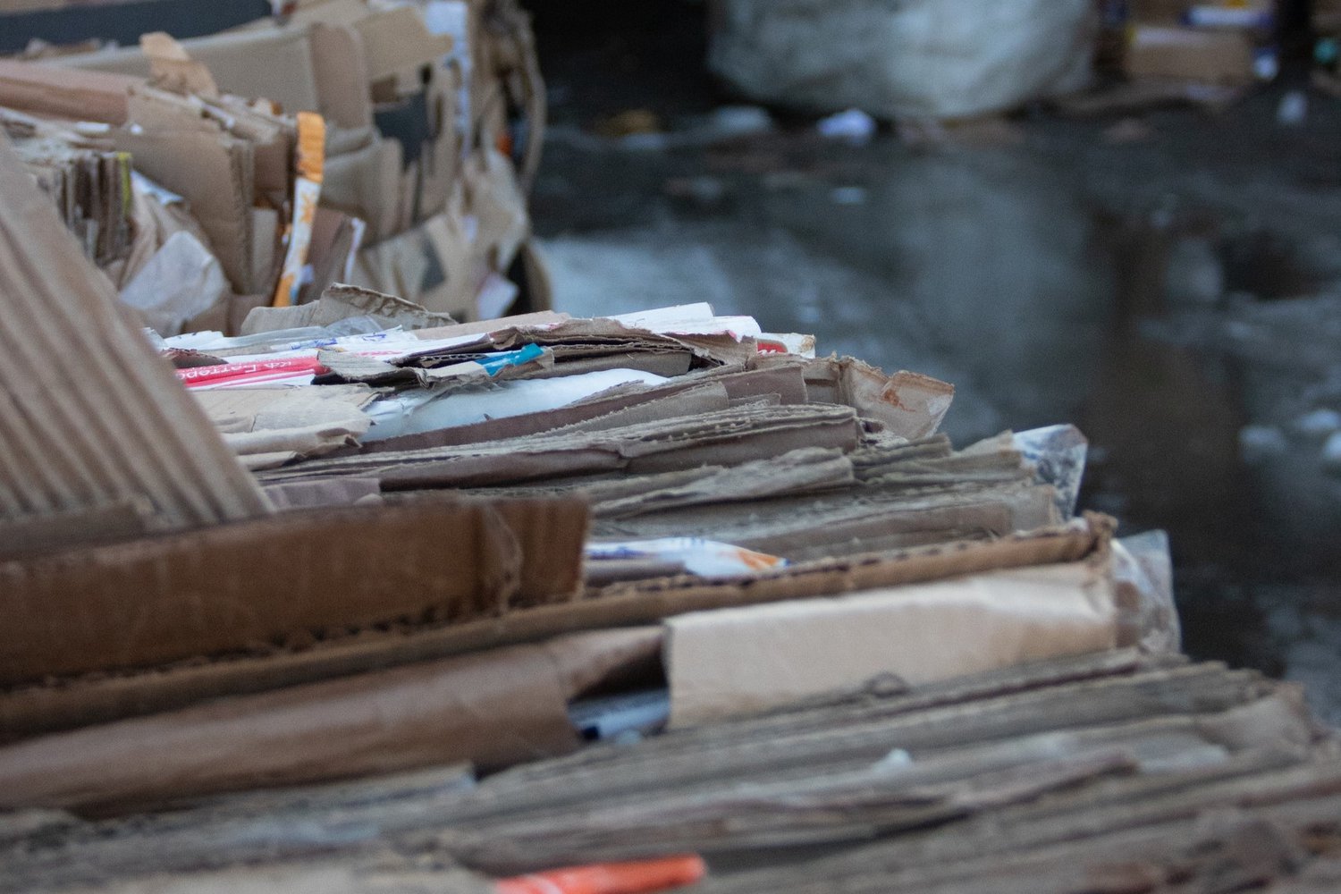 Псковский городской молодёжный центр подвёл итоги осенней экологической акции по сбору макулатуры.