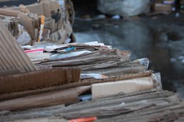 Псковские волонтёры направили средства от сбора макулатуры в помощь приюту для бездомных животных