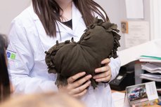 4 февраля состоится благотворительный мастер-класс по созданию специальных подушек для женщин, перенёсших операцию на молочной железе.