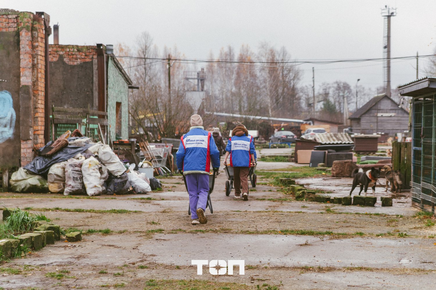 «ТОПовый десант»: псковские подростки завершили осеннюю трудовую неделю